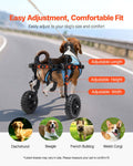 Dog Wheelchair Back Legs Adjustable 2 Wheels Small Up to 10kg