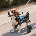 Dog Wheelchair Back Legs Adjustable 2 Wheels Small Up to 10kg