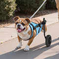Dog Wheelchair Back Legs 15kg Medium 2 Wheel Cart