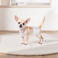Male Dog Diapers XS 96 Count Super Absorbent Leak-Proof Belly Bands