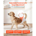 Disposable Dog Diapers, Super Absorbent Female Dog Diapers, 360° Leak-Proof Female Doggy Pet Diaper with Wetness Indicator for Heat Period, Training, Incontinence - M, 144 Count (2 Packs of 72)