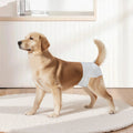 Dog Diapers Female M 96 Pack Super Absorbent Leak-Proof Heat