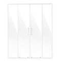 Semi Frameless Double Sliding Shower Door 1/4