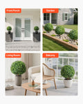Artificial Boxwood Topiary Trees 559mm 2 Set Faux Plants Outdoor Indoor