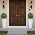 Artificial Boxwood Topiary Trees 559mm 2 Set Faux Plants Outdoor Indoor