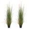 Artificial Grass Plant 2 Pack 1499mm Faux Reed Flower Pot Green
