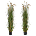 Artificial Grass Plant 2 Pack 1499mm Horsetail Reed Potted Greenery