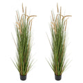 Artificial Grass Plant 2 Pack 1499mm Horsetail Reed Potted Greenery