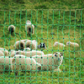 VEVOR Electric Fence Netting 1.06m x 50m PE Mesh Goats Sheep Deer Posts
