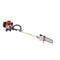 43CC Gas Pole Saw 25.4cm Bar 2.1-3.6m Extendable Tree Trimmer