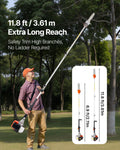 43CC Gas Pole Saw 25.4cm Bar 2.1-3.6m Extendable Tree Trimmer