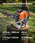 43CC Gas Pole Saw 25.4cm Bar 2.1-3.6m Extendable Tree Trimmer