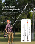 25cc Gas Pole Saw 30.5cm Bar 2.12-3.62m Extendable Chainsaw