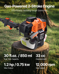 33CC Gas Pole Saw 2 Stroke 20.3cm Bar 2-3.5m Extendable