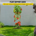 Tomato Cages 30x30x117cm 5 Pack Square Plant Support Silver Steel