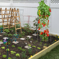 Tomato Cages 30x30x117cm 5 Pack Square Plant Support Silver Steel