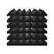 Acoustic Foam Panels 24 Pack 12x12x2in Studio Wall Ceiling