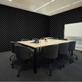 Acoustic Foam Panels 2 Pack 48x24x2cm Studio Wall Ceiling