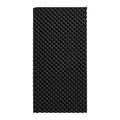 Acoustic Foam Panels 2 Pack 48x24x2cm Studio Wall Ceiling