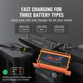 12 AMP Golf Cart Smart Battery Charger for EZGO D-Style IP67 ETL