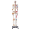 Skeleton Model 182cm Life Size Anatomy Movable Ligaments Jaw