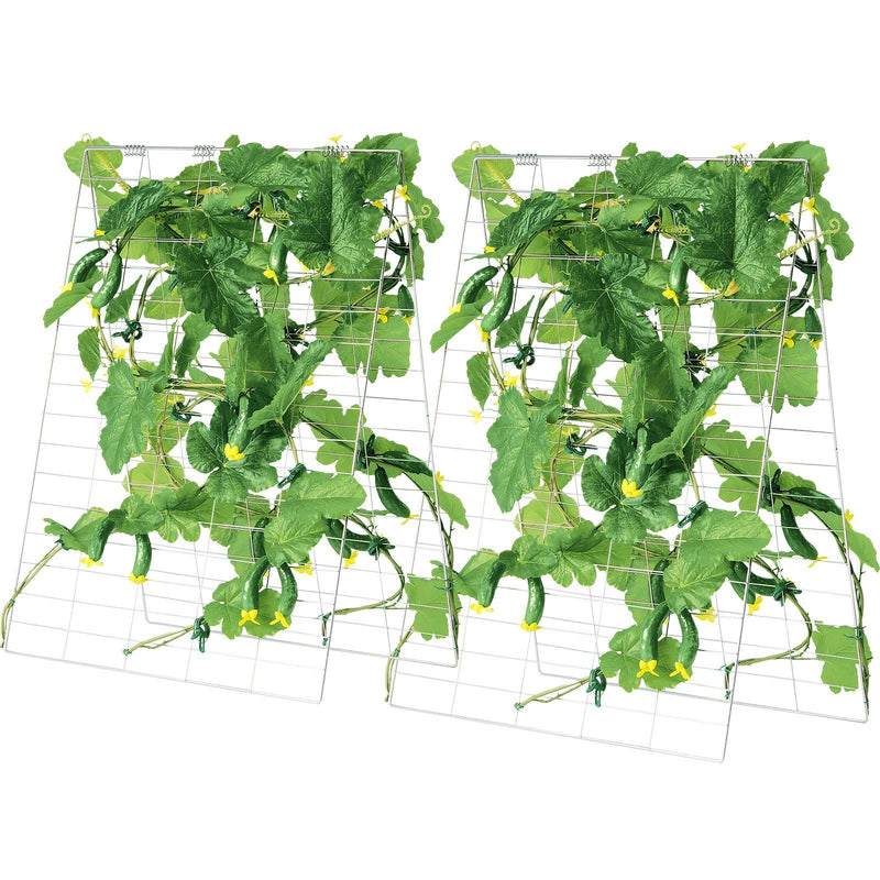 Cucumber Trellis 35