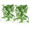 Cucumber Trellis 35