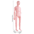 Nursing Training Manikin, Male Life Size Demonstration Human Manikin for Nursing Training, Multifunctional Education Teaching Model Supplies, PVC Anatomical Mannequin Body Care Simulator Model
