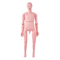 Nursing Training Manikin Male Life Size Anatomical Mannequin PVC