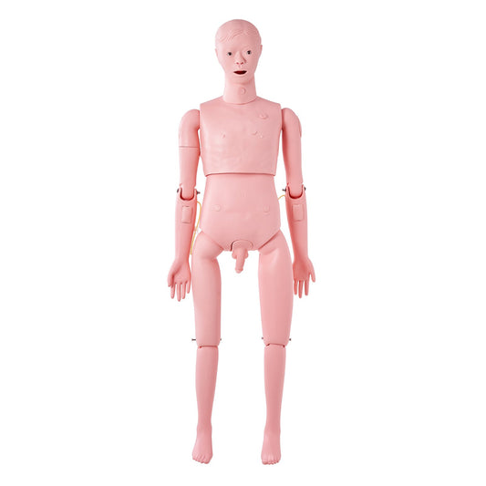 Nursing Training Manikin, Male Life Size Demonstration Human Manikin for Nursing Training, Multifunctional Education Teaching Model Supplies, PVC Anatomical Mannequin Body Care Simulator Model