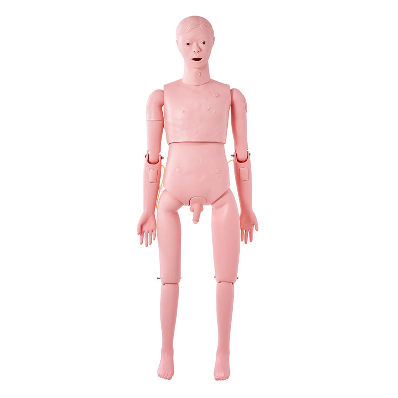 Nursing Training Manikin Male Life Size Anatomical Mannequin PVC