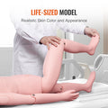 Nursing Training Manikin Male Life Size Anatomical Mannequin PVC