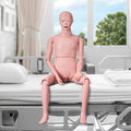 Nursing Training Manikin Male Life Size Anatomical Mannequin PVC
