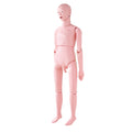 Nursing Training Manikin Male Life Size Anatomical Mannequin PVC
