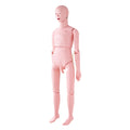 Nursing Training Manikin Male Life Size Anatomical Mannequin PVC