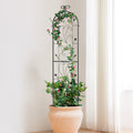 Metal Garden Trellis 60x15cm Climbing Plants Rustproof