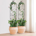 Metal Garden Trellis 60x15cm Climbing Plant Support Rustproof 2 Pack