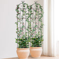 2 Pack Metal Garden Trellis 87x20cm Rustproof Climbing Plant Support