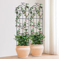 4 Pack Metal Garden Trellis 71x20cm Rustproof Climbing Plant Support