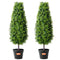 2x 91.4cm Artificial Boxwood Topiary Tree UV Resistant Indoor Outdoor