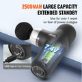 Massage Gun Deep Tissue 4 Speed 4 Heads 2500mAh Handheld