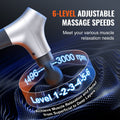 Massage Gun Deep Tissue Percussion 6 Speed 4 Heads 2500mAh