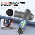 Massage Gun Deep Tissue 8 Speed 6 Heads 2500mAh Percussion