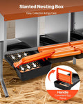 Chicken Nesting Box 3 Compartments Galvanized Steel Orange Roll Away