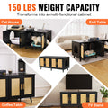 Wooden Cat Litter Box Enclosure Furniture Hidden 2 Rooms Black