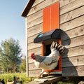 Automatic Chicken Coop Door Battery Powered Timer Orange