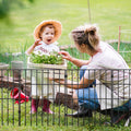 No Dig Garden Fence 44cm x 33cm Animal Barrier 28 Pack Metal