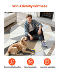 Area Rug 1524x2134mm Washable Non-Slip Soft Carpet Charcoal