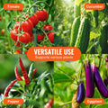 Tomato Cages 4 Pack 1620mm Garden Plant Support Stakes