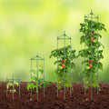 Tomato Cages 4 Pack 1620mm Garden Plant Support Stakes
